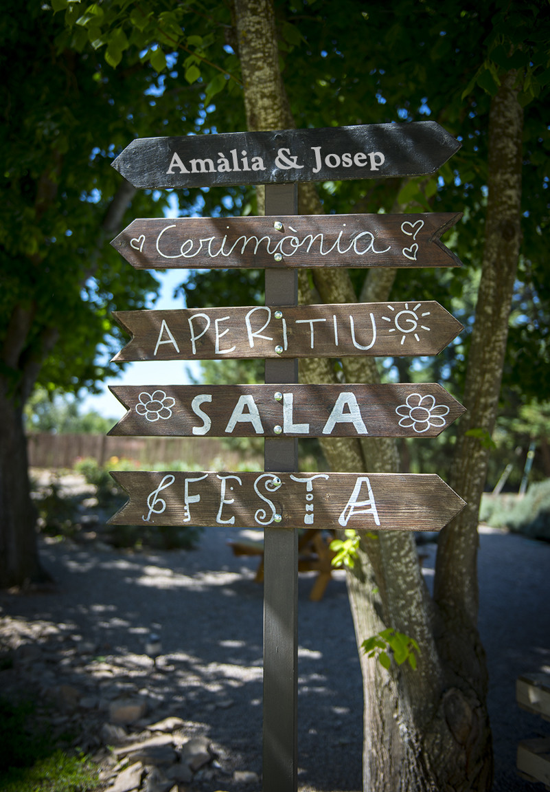 Noces Plata Amàlia&Josep (28.04.19)_ACP5802_