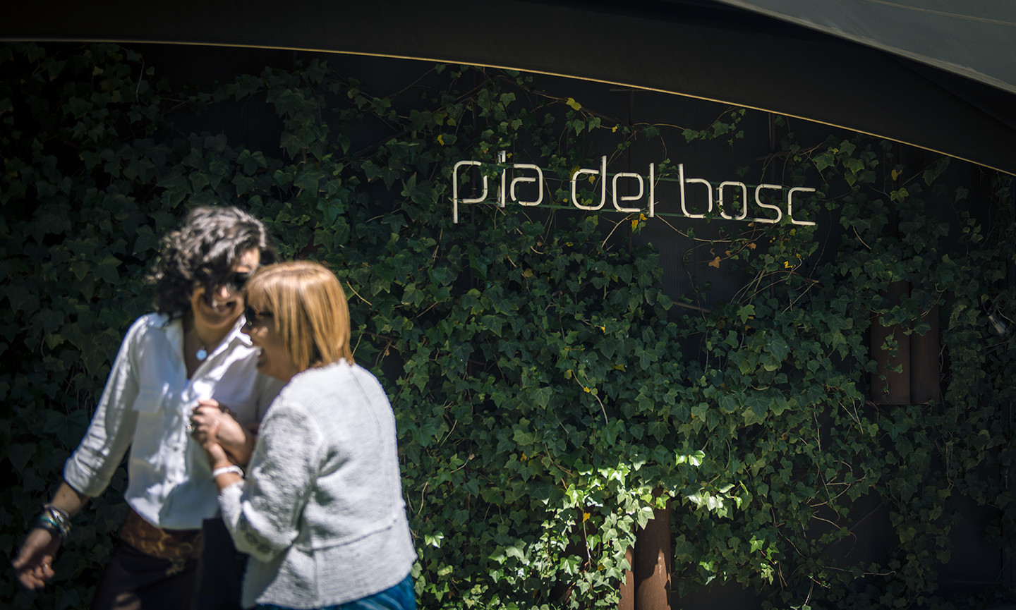 Noces Plata Amàlia&Josep (28.04.19)_ACP6559_